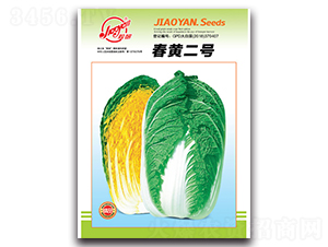 春黃二號-春播白菜種子-膠研