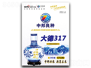 大德317-玉米種子-中邦農(nóng)業(yè)