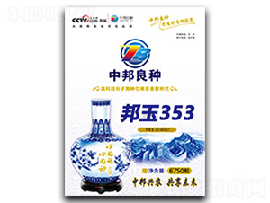 邦玉353-玉米種子-中邦農(nóng)業(yè)