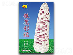 �y����Ŵ-Ŵ���׷N��-��ɷN�I(y��)