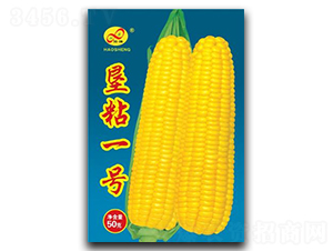 ��ճһ̖-Ŵ���׷N��-��ɷN�I(y��)