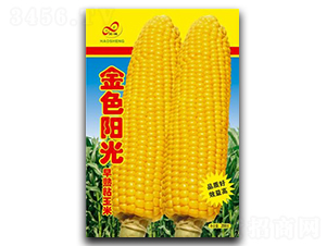 ��ɫꖹ�-Ŵ���׷N��-��ɷN�I(y��)