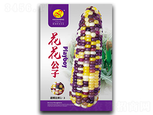 ��������-Ŵ���׷N��-��ɷN�I(y��)