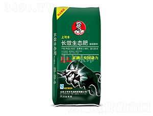 �LЧ���B(t��i)��20-20-6-�Ͽ��S-���r(n��ng)����