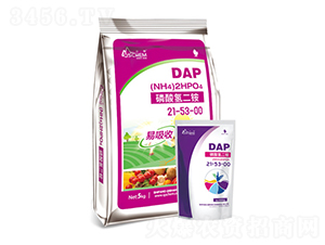 磷酸氫二銨21-53-00-岐山化工