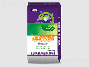 水稻返青分蘗肥-沃碧盈-中盈惠農(nóng)