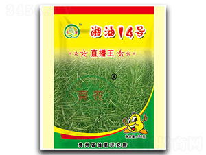 ����14̖(h��o)-�Ͳ˷N��-���r(n��ng)