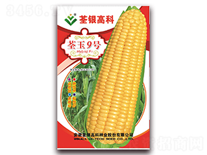 ����9̖-Ŵ���׷N��-���y�ϲ�