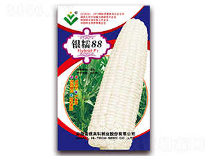 �yŴ88-Ŵ���׷N��-���y�ϲ�