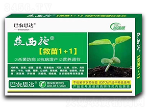 救苗1+1-蔬西施-巴農(nóng)思達(dá)