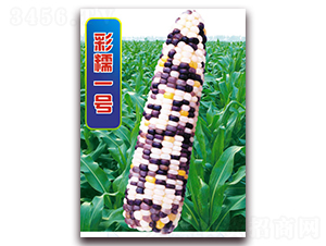 ��Ŵһ̖-Ŵ���׷N��-�A��N�I(y��)