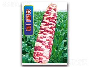 ��Ŵ��̖-Ŵ���׷N��-�A��N�I(y��)