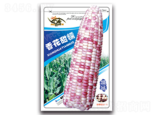 �㻨��Ŵ-Ŵ���׷N��-���ܷN�I(y��)