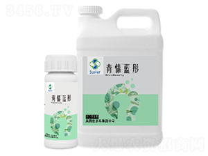 青愫藍(lán)彤-世多樂