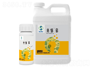 青愫慕-世多樂(lè)