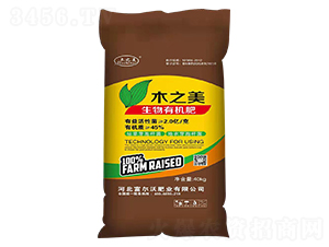 �����ЙC(j��)��-ľ֮��-������