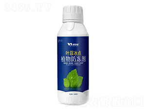 植物防凍劑-葉菲冰點-德邦葉菲