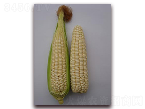 �K��Ŵ102-Ŵ���׷N��-�L���N��