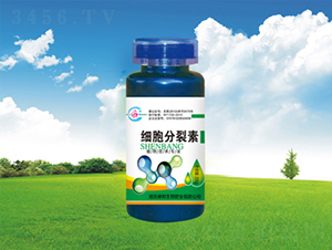 ����������-������� 