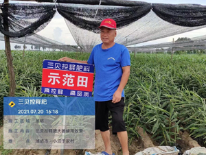 ��ؐ��ጷ���-��ؐ���S