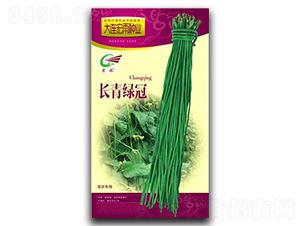 長青緑冠-豇豆種子-宏雨