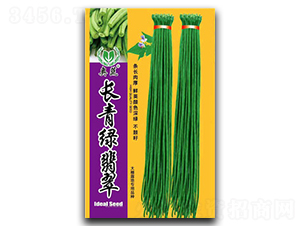 長(zhǎng)青緑翡翠-豇豆種子-宏雨
