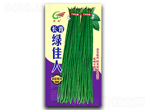 長青綠佳人-豇豆種子-宏雨