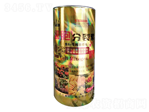 ����������-ʩ����-�r(n��ng)� 