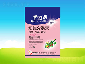 ����������-����-�n��ʘI(y��) 