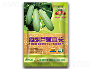西葫蘆直長(zhǎng)-朗禾-嘉華生物