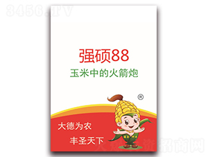 強碩88-玉米種子-德圣種業(yè)