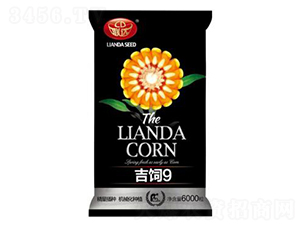吉飼9-玉米種子-聯(lián)達(dá)種業(yè)