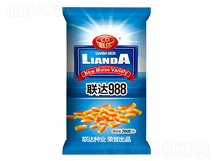 聯達988-玉米種子-聯達種業(yè)