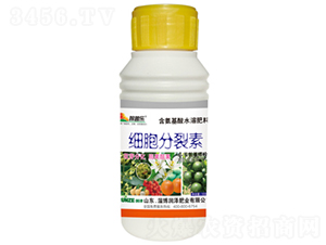 ����������-���՘�-���ɷʘI(y��) 