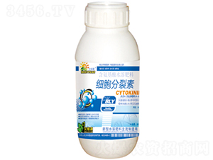 ƿ�b����������-���՘�-���ɷʘI(y��) 