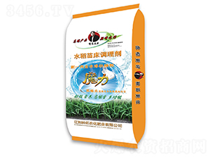 10kg水稻苗床調(diào)理劑-科拓農(nóng)化