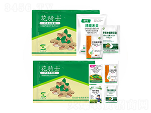 ��������݄�-���Tʿ-�S�՘�(l��)