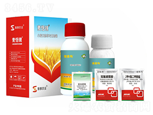 ���݌����ײ�-�����R-�S�՘�(l��)