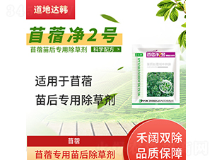 ��ޣ���������݄�-��ޣ��2̖-�����_(d��)�n