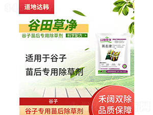 ���ӌ��������݄�-����݃�-�����_(d��)�n