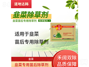 �²�����ó��݄�-����¡-�����_�n