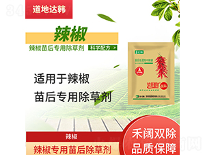 ��������ó��݄�-����-�����_�n