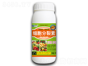 ����������-�G��-��ʿ�R�� 