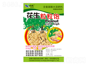 ���������-�G��-��ʿ�R�� 