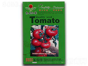 西紅柿種子-番茄霸王F1-滿天紅日