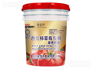 ���t����ݮ��(zhu��n)�ø��}⛌�-��Ƭ�G-���r(n��ng)�S 