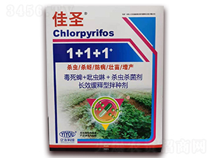 1+1+1��N���ײ�-��ʥ-�|���r(n��ng)�I(y��)