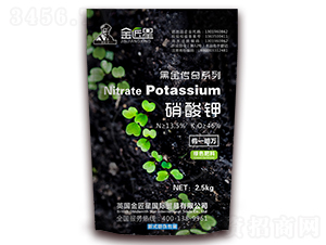 �����-�ڽ�����-����