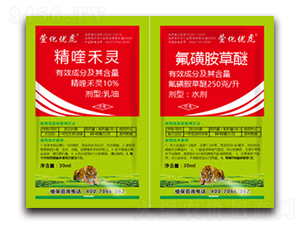 ��������ú��ͨ���ͳ��݄�-�滯��(y��u)��-�滯���h(yu��n)