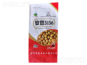 安豆5156-大豆種子-億豐種業(yè)